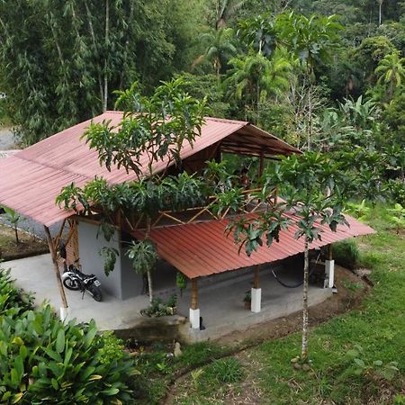 Willa Casa En Santuario Natural En La Amazonia Veracruz  Zewnętrze zdjęcie