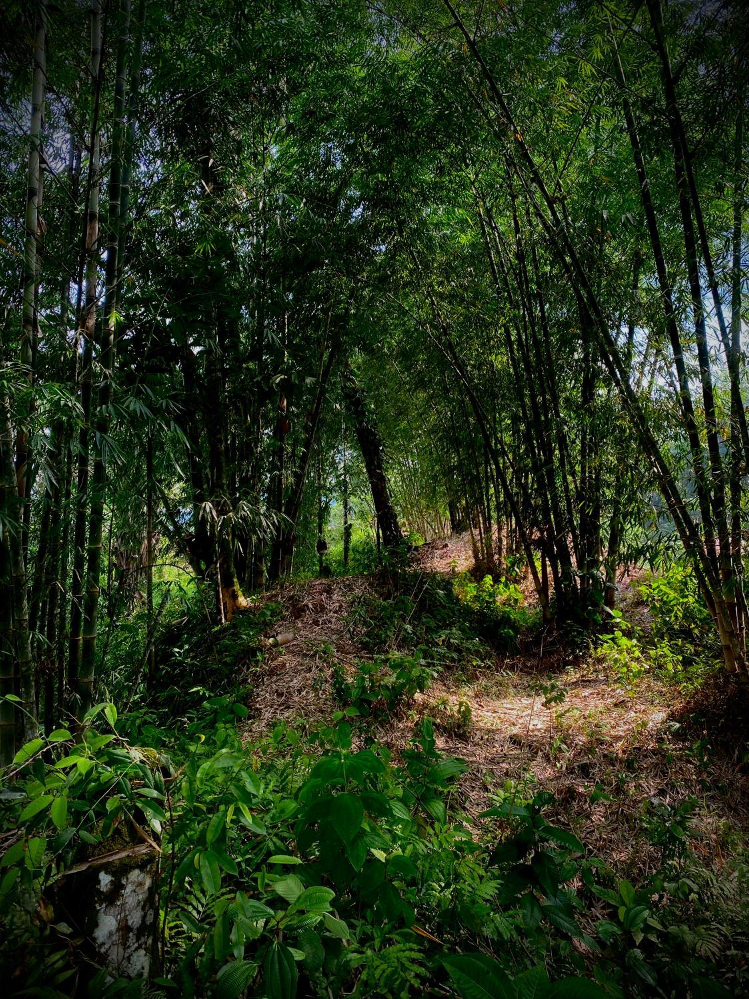 Willa Casa En Santuario Natural En La Amazonia Veracruz  Zewnętrze zdjęcie