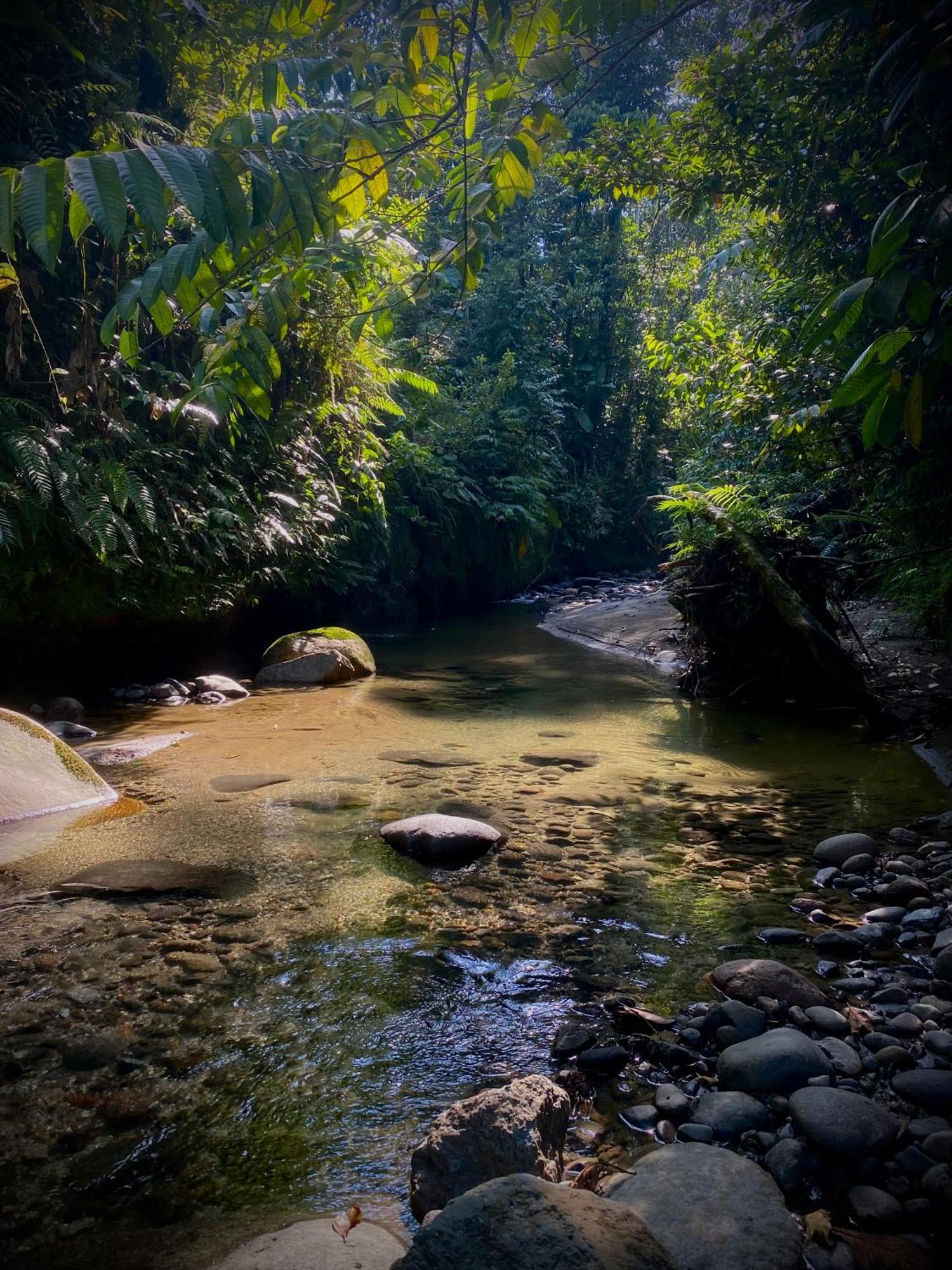 Willa Casa En Santuario Natural En La Amazonia Veracruz  Zewnętrze zdjęcie